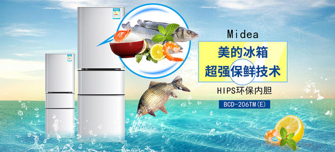 做假尼加拉瓜护照